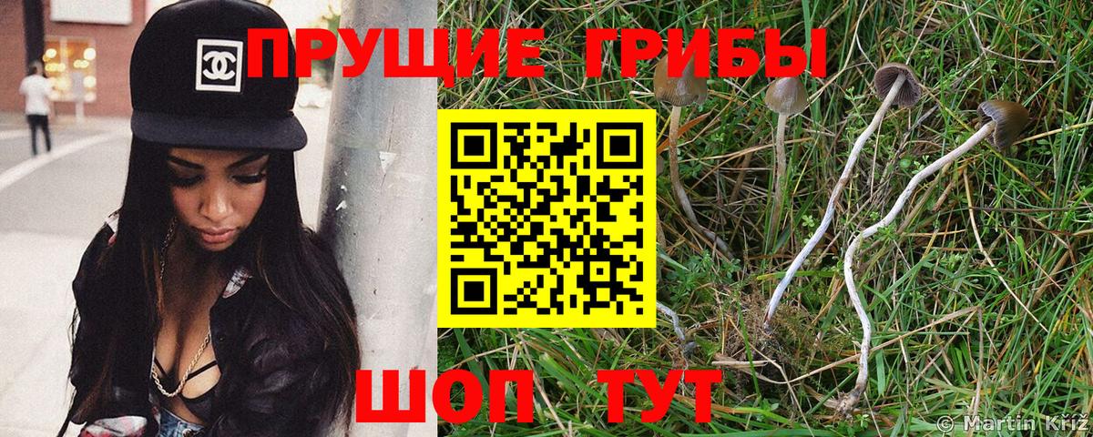 Псилоцибиновые грибы GOLDEN TEACHER Муравленко